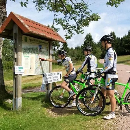 Le Cactus Avec Sauna Privatif Le Ménil