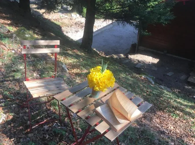 Le Cactus Avec Sauna Privatif 샬레