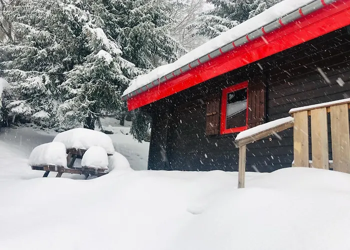 Le Cactus Avec Sauna Privatif *